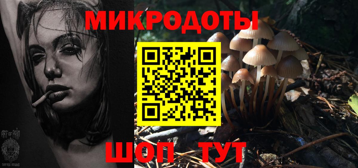 Галлюциногенные грибы Psilocybine cubensis Мытищи