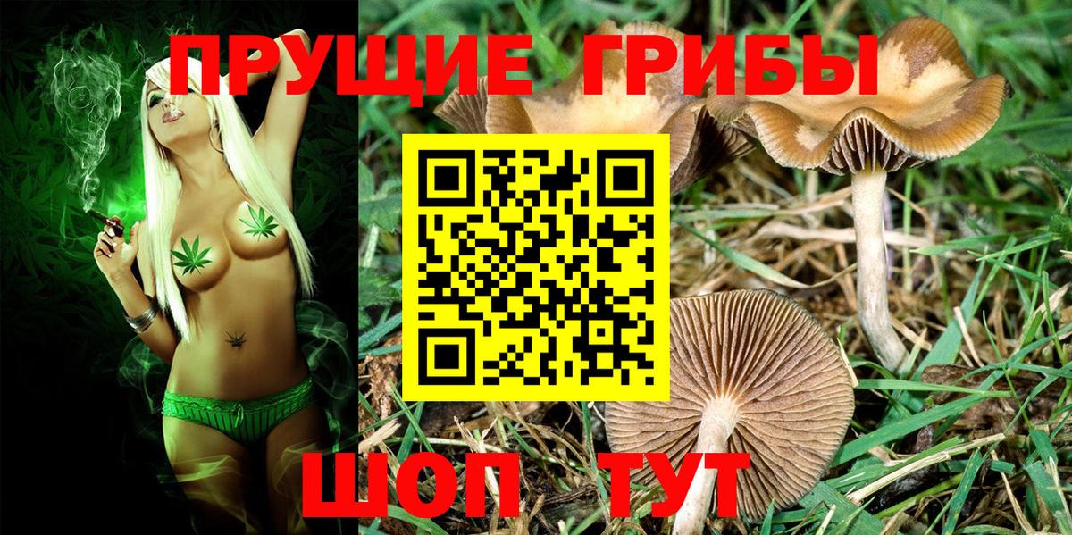 Псилоцибиновые грибы Magic Shrooms  Псилоцибиновые грибы GOLDEN TEACHER  Мытищи  Вход с VPN 